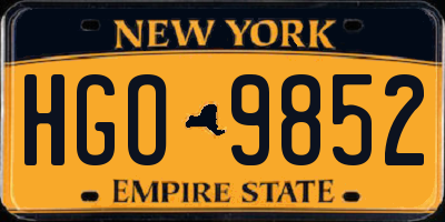 NY license plate HGO9852