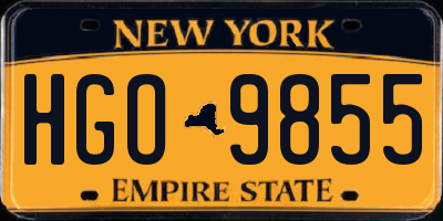 NY license plate HGO9855