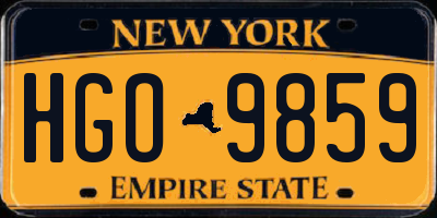 NY license plate HGO9859