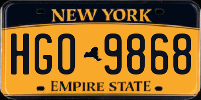 NY license plate HGO9868