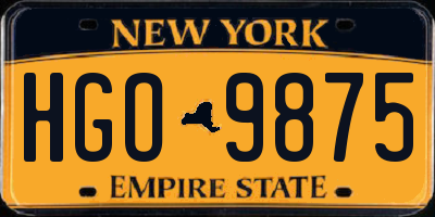 NY license plate HGO9875