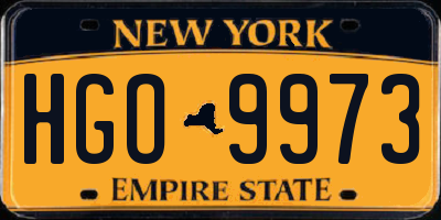 NY license plate HGO9973