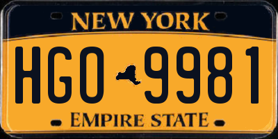 NY license plate HGO9981