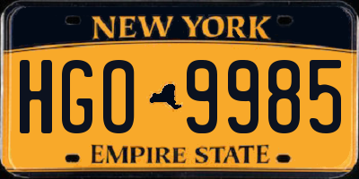 NY license plate HGO9985