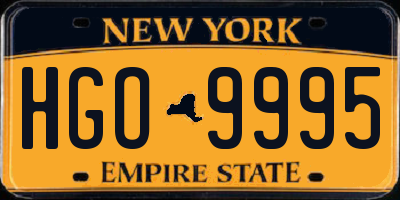 NY license plate HGO9995