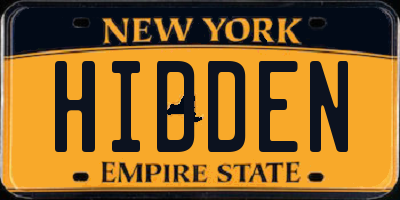 NY license plate HIDDEN