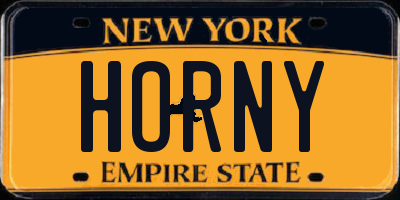 NY license plate HORNY