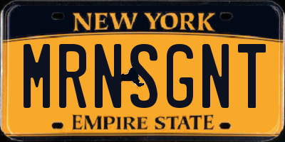 NY license plate MRNSGNT