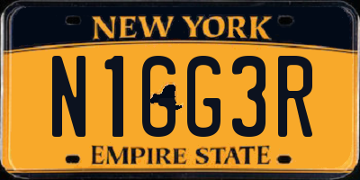 NY license plate N1GG3R