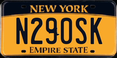 NY license plate N290SK