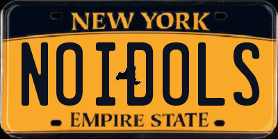 NY license plate NOIDOLS