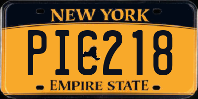 NY license plate PIC218