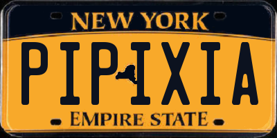 NY license plate PIPIXIA