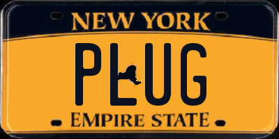 NY license plate PLUG