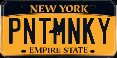 NY license plate PNTMNKY