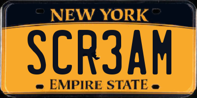 NY license plate SCR3AM