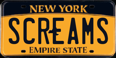 NY license plate SCREAMS