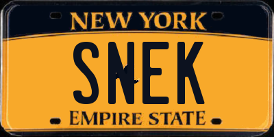 NY license plate SNEK