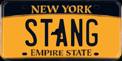 NY license plate STANG