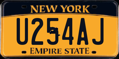 NY license plate U254AJ