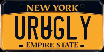 NY license plate URUGLY