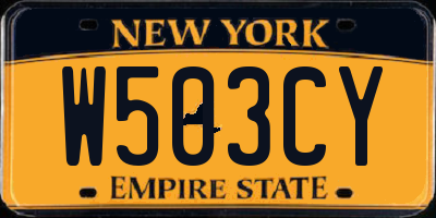 NY license plate W503CY