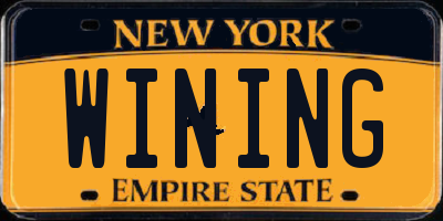 NY license plate WINING