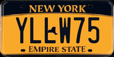 NY license plate YLLW75