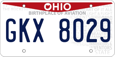 OH license plate GKX8029