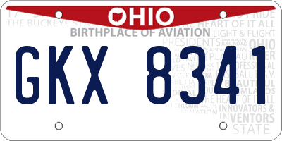 OH license plate GKX8341