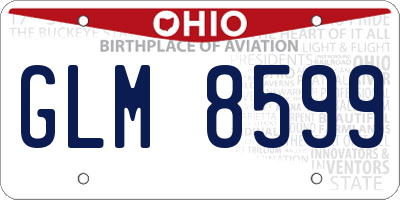 OH license plate GLM8599