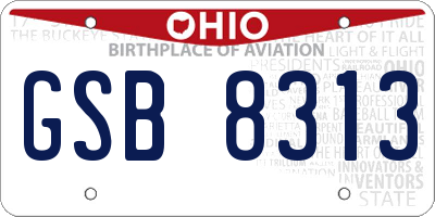 OH license plate GSB8313