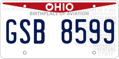 OH license plate GSB8599