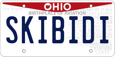 OH license plate SKIBIDI