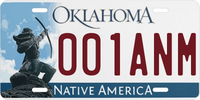 OK license plate 001ANM