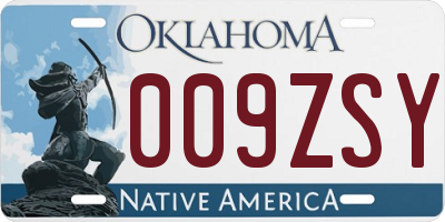OK license plate 009ZSY
