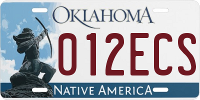 OK license plate 012ECS
