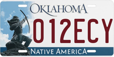OK license plate 012ECY