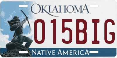 OK license plate 015BIG