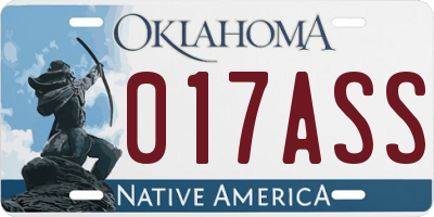 OK license plate 017ASS
