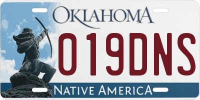OK license plate 019DNS