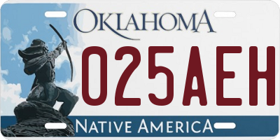OK license plate 025AEH