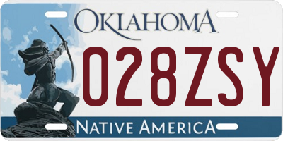 OK license plate 028ZSY