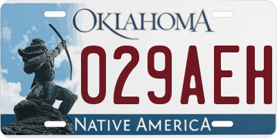 OK license plate 029AEH