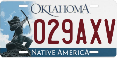 OK license plate 029AXV