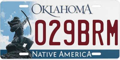 OK license plate 029BRM