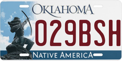 OK license plate 029BSH
