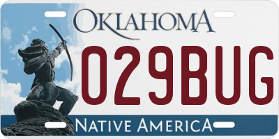 OK license plate 029BUG