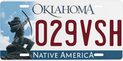OK license plate 029VSH