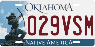 OK license plate 029VSM